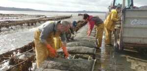 Baie de la Fresnaye - fréhel