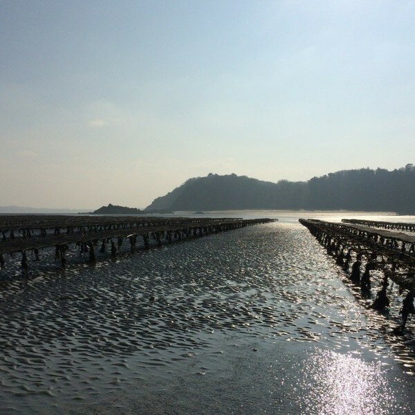 visite-guidee-parcs-ostreicoles